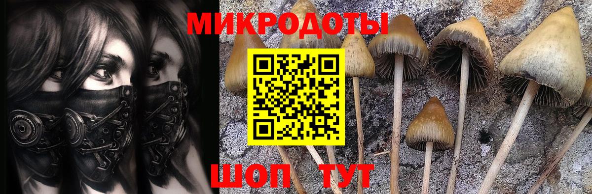 Галлюциногенные грибы Psilocybine cubensis  Вход с VPN  Усолье-Сибирское 